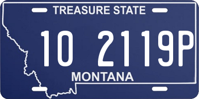 MT license plate 102119P