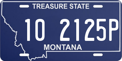 MT license plate 102125P