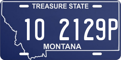 MT license plate 102129P