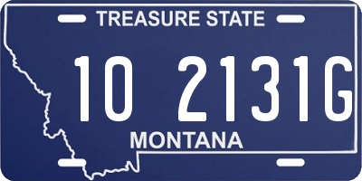 MT license plate 102131G