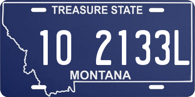 MT license plate 102133L