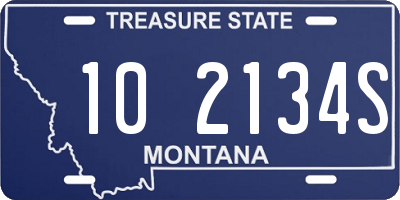 MT license plate 102134S