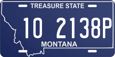 MT license plate 102138P