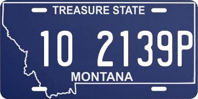 MT license plate 102139P