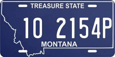 MT license plate 102154P