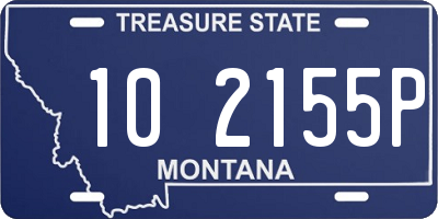 MT license plate 102155P