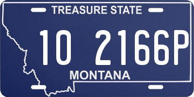 MT license plate 102166P