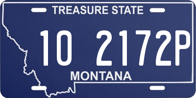 MT license plate 102172P