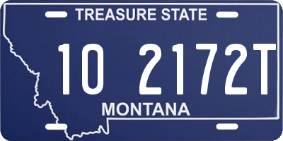 MT license plate 102172T