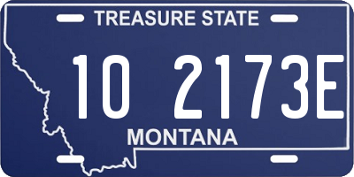 MT license plate 102173E