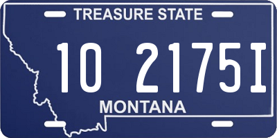 MT license plate 102175I