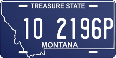 MT license plate 102196P