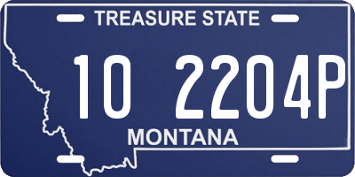 MT license plate 102204P