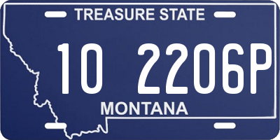 MT license plate 102206P