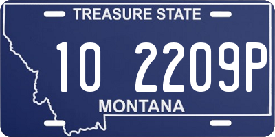 MT license plate 102209P