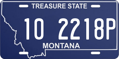 MT license plate 102218P