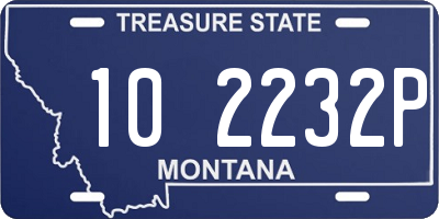 MT license plate 102232P