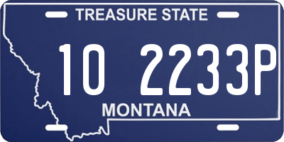 MT license plate 102233P