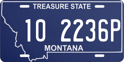 MT license plate 102236P