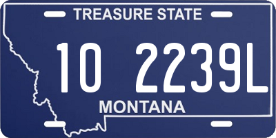 MT license plate 102239L