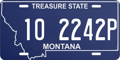 MT license plate 102242P