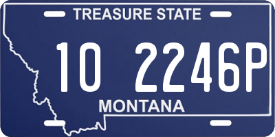 MT license plate 102246P