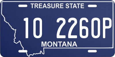 MT license plate 102260P