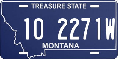 MT license plate 102271W