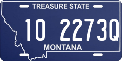 MT license plate 102273Q