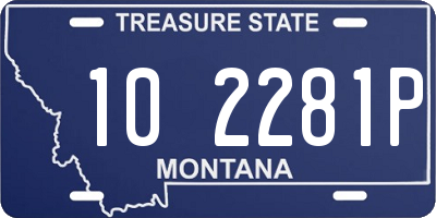 MT license plate 102281P