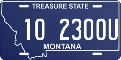 MT license plate 102300U