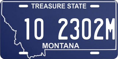 MT license plate 102302M