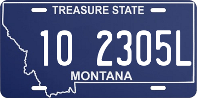 MT license plate 102305L