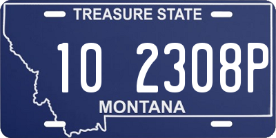 MT license plate 102308P