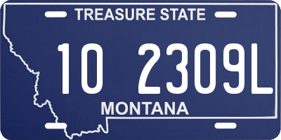 MT license plate 102309L