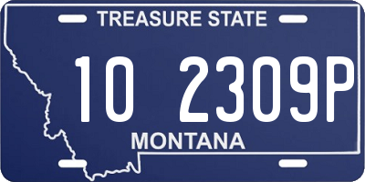 MT license plate 102309P