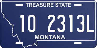 MT license plate 102313L