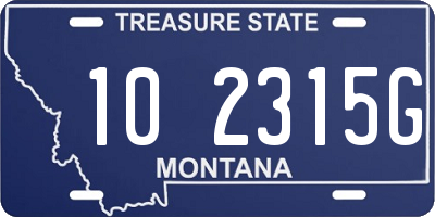 MT license plate 102315G