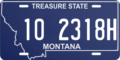 MT license plate 102318H