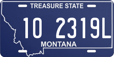 MT license plate 102319L