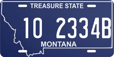 MT license plate 102334B