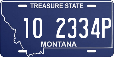 MT license plate 102334P