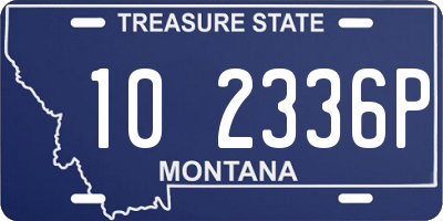 MT license plate 102336P