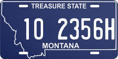 MT license plate 102356H