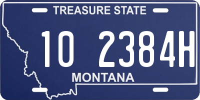 MT license plate 102384H