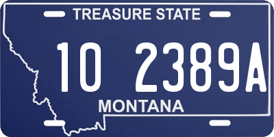 MT license plate 102389A