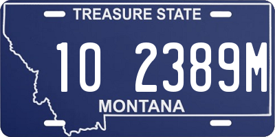 MT license plate 102389M