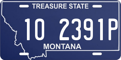 MT license plate 102391P