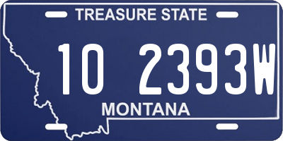 MT license plate 102393W