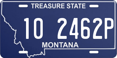 MT license plate 102462P